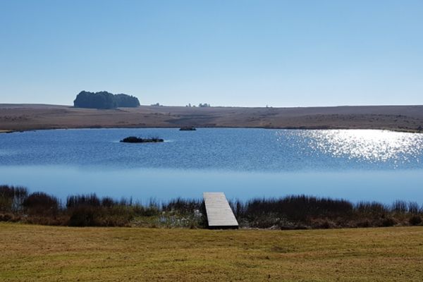 View from the patio